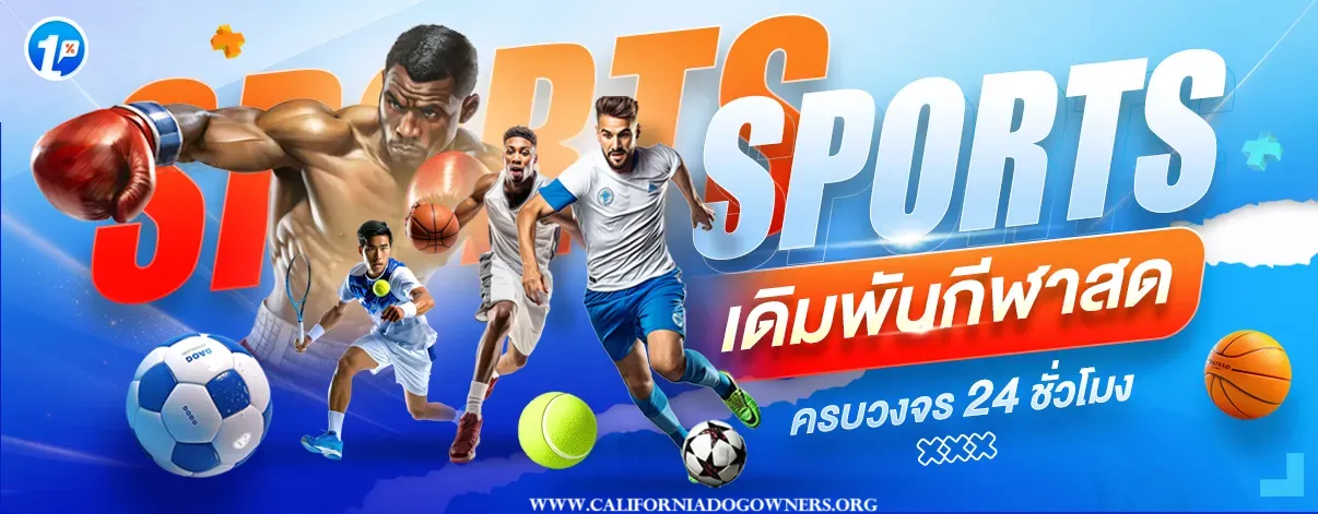 1per เข้าสู่ระบบ